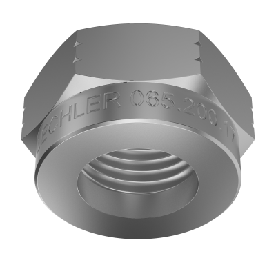 Piulita olandeza pentru filet